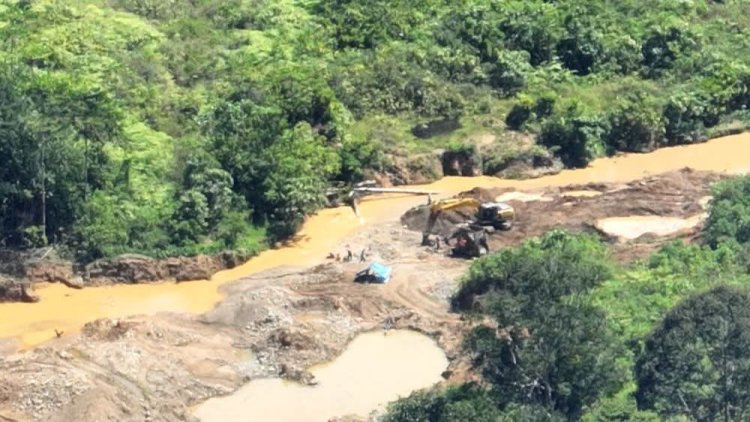 Sengkarut Penambangan Emas Tanpa Izin di Merangin, Berkah ataukah Petaka?