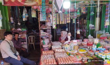 BRI BO Bangko Akselerasi Penyaluran KUR untuk Mendorong Perkembangan UMKM di Kabupaten Merangin