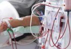 Jagalah Ginjal Anda, Ketimbang Cuci Darah Seumur Hidup dan Mahal