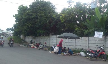 Pedagang Kucing-kucingan Satpol PP Berjualan di Tepi Jalan Pasar, Ini Alasannya...