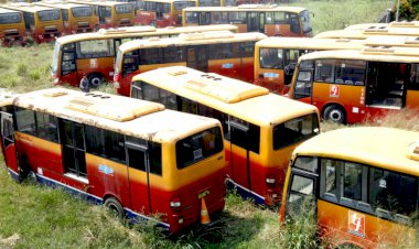 TransJakarta Bantah Terlibat Soal Bus Mangkrak di Ciputat dan Bogor