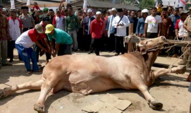 Pemkot Jambi Buat Edaran Dilarang Gunakan Plastik untuk Daging Kurban