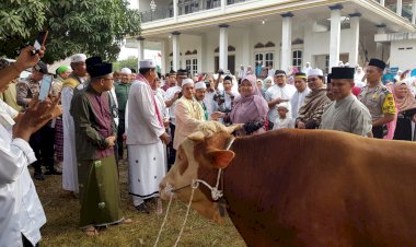 Bupati Masnah Sholat Ied Adha Berjamaah di Masjid At-Taqwa Sebapo