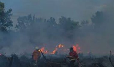 Kebakaran Semakin Buruk, Karhutla Jambi Level Waspada