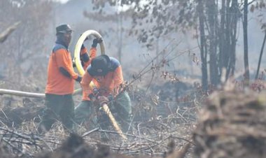 159 Hektar Lahan Terbakar, Ini Kawasan Darurat Karhutla di Muaro Jambi