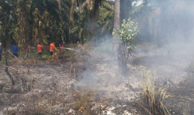 KLHK Segel 19 Perusahan, Satu Diantaranya di Provinsi Jambi