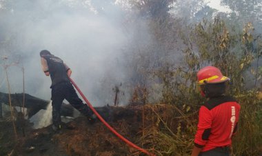 KLHK Sebut Karhutla: 42 Perusahaan Disegel, 4 Koorporasi Jadi Tersangka