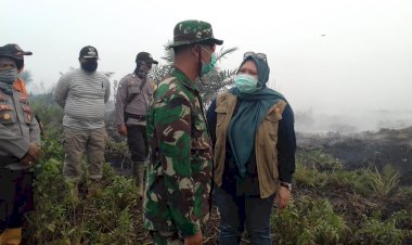 Karhutla Kian Sulit, Dandim BTH: Petugas Butuh Masker Oksigen
