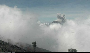 Gunung Merapi Muntahkan Awan Panas Setinggi 800 Meter