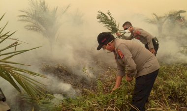 Ini Dia 18 Orang Perambah dan Pembakar Hutan di Konsesi PT Reki Ditetapkan Tersangka
