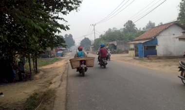 Berbahaya! ISPU Muarojambi di Angka 341 Mg/L, Firman: Daerah Karhutla Pasti Lebih Tinggi