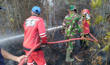 Minta Desa Sisihkan Anggaran Karhutla, Cek Endra: Hal Kecil Bisa Diatasi Desa