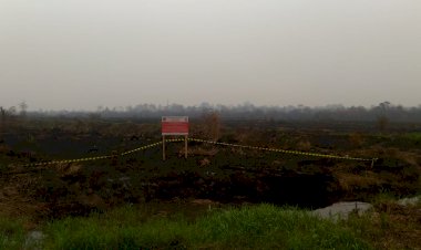 Terlibat Karhutla, KLHK akan Segel 7 Perusahaan di Provinsi Jambi