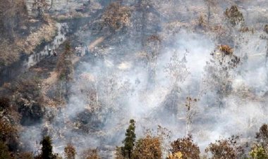 Akibat Karhutla, Harta Karun Kerajaan Sriwijaya Bermunculan