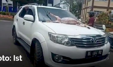 Bupati Kena OTT, Warga Suka Cita Rayakan Potong Kambing Depan Kantor Bupati