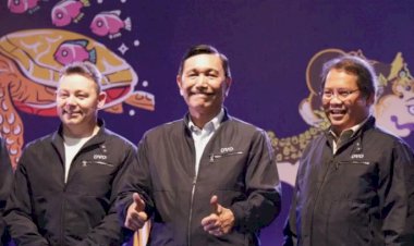 Jadi Unicorn, Luhut Minta OVO Berkontribusi