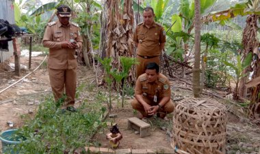 Warga Bagan Pete Dihebohkan Dengan Penemuan Bunga Bangkai Mekar