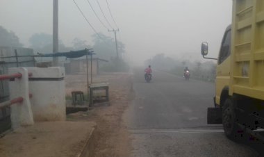 Mulai Besok Siswa Diliburkan, Kualitas Udara di Muarojambi Tidak Sehat