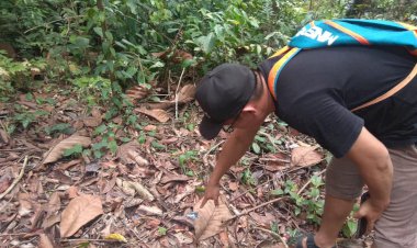 DUH! Bungkus Kondom Berserakan, Wisata Arboretum Diduga Jadi Tempat Mesum