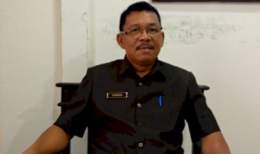 Meski Primadona, 53.000 Hektar Kebun Kelapa Perlu Peremajaan dan Bantuan Pemkab Taniabbar