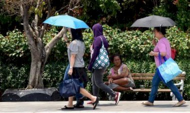 Ini Dia Catatan BMKG 10 Suhu Ekstrim Terpanas 1981 Hingga 2019