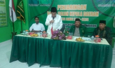 AJB Resmi Daftar Wagub di PPP