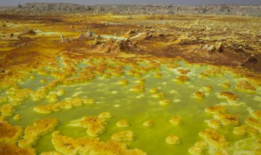 Tak Ada Makhluk Bisa Hidup di Kawasan Bumi Ini?