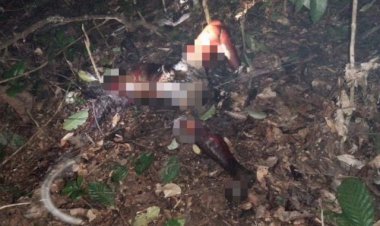 Warga Tebo Jambi Geger Temukan Mayat Hangus Terbakar di Kebun Karet