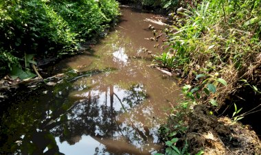 Sungai Tukum Diduga Tercemar, Papan Pengumuman Larangan Rusak Lingkungan Sekedar Pajangan