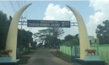 Dampak Kabut Asap 2019, PAD Taman Rimba Terancam Tak Capai Target