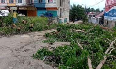 Lapor Pak Bupati! Dua Hari Sampah Pohon Dibiarkan Berserakan di Tepi Jalan Bungo