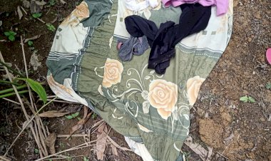 Mesum di Kebun, Dua Sejoli Ini Digerebek Warga Sungai Pinang