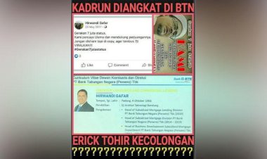 Viral di Media Sosial Direktur BTN Terpapar Radikalisme, Begini Kata Kementerian BUMN