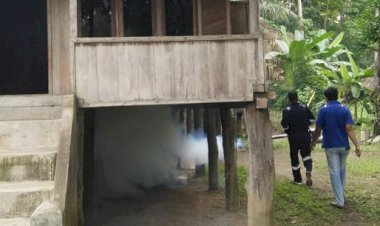 Waspada! Tiga Penderita DBD di Kelurahan Pijoan, Dinkes Muarojambi Lakukan Fogging