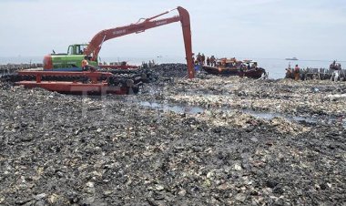8,32 Ton Sampah Menumpuk di Teluk Jakarta Setiap Hari