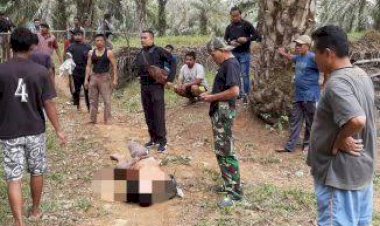 Kasus Dihentikan, Pelaku Pembacokan Tukang Sayur di Kumpeh Ulu Dinyatakan Gila