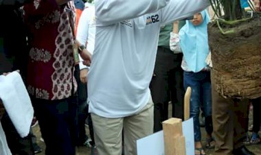 Beri Bantuan Peremajaan Sawit, Fachrori: Pembangunan Subsektor Perkebunan Jambi Terus Ditingkatkan