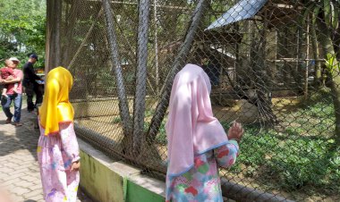 Yuk! Liburan Cocoknya di Taman Rimba Zoo, Bisa Edukasi Anak
