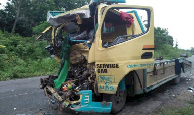 Laka Maut di Lintas Sumatera Bungo, Pengemudi Truk Tewas di TKP, Empat Luring