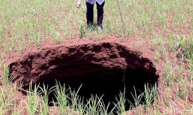 Sebuah Lubang Menganga Muncul di Ladang Warga Gunungkidul