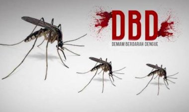 Penanganan Lamban, Satu Penderita DBD Meninggal Dunia di Tanjab Barat