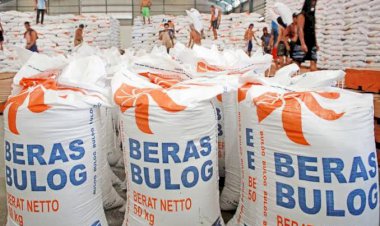 Bulog Acapkali Operasi Pasar, Pedagang Tradisional Khawatir Gulung Tikar