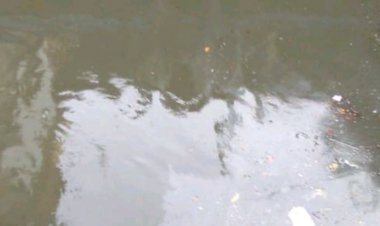 Tanggul Kali Sekretaris Tanjung Duren Bocor, Begini Kondisinya