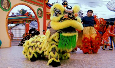 Menelisik Tradisi Barongsai di Kota Jambi yang Dipercaya Bisa mengusir Roh Jahat