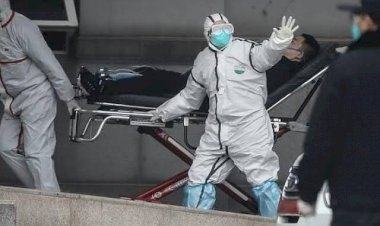 Heboh Virus Corona di Jambi, Ini Kata Kadinkes Provinsi Jambi