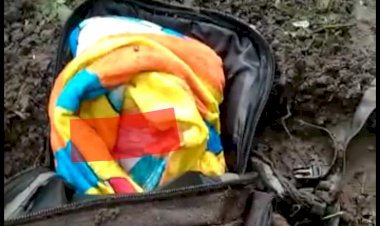 BREAKING NEWS! Warga Muarojambi Temukan Jasad Bayi dalam Tas Terkubur di Kebun Kelapa