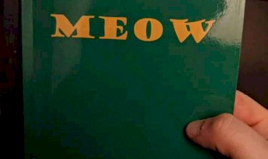 Viral Buku Teraneh di Facebook, Ceritanya Soal Kucing Tapi Bikin Tepuk Jidat