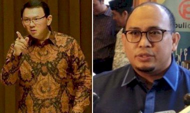 Anggota DPR Ini Sentil Ahok: Jangan Sampai Komisaris Rasa Dirut