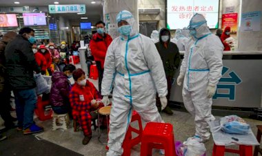 Satu WNI Positif Terkena Virus Corona