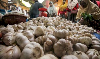 Lonjakan Harga Rp70 Ribu Perkilogram, Dedi Mulyadi Sebut Importir Diduga Timbun 130 Ribu Ton Bawang Putih